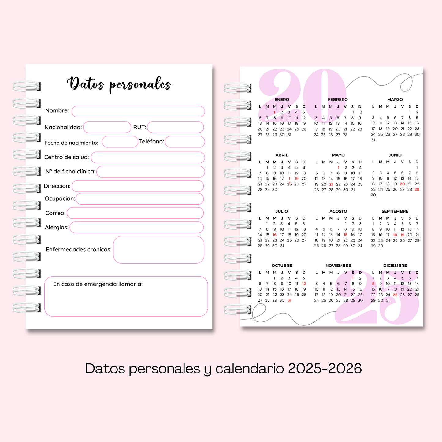 Planner/ diario de embarazo