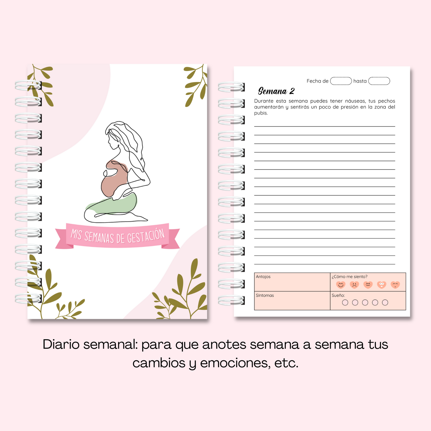 Planner/ diario de embarazo