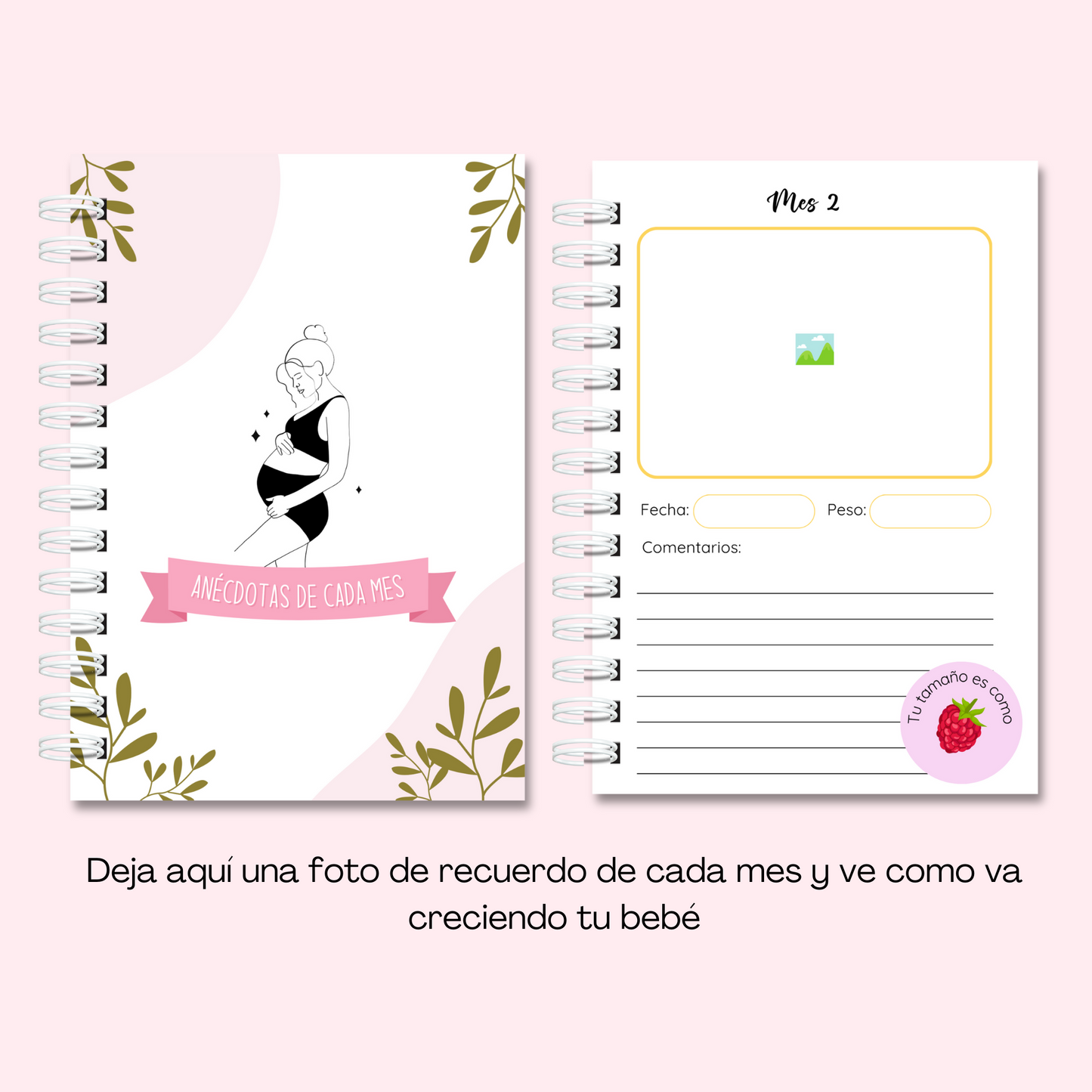 Planner/ diario de embarazo