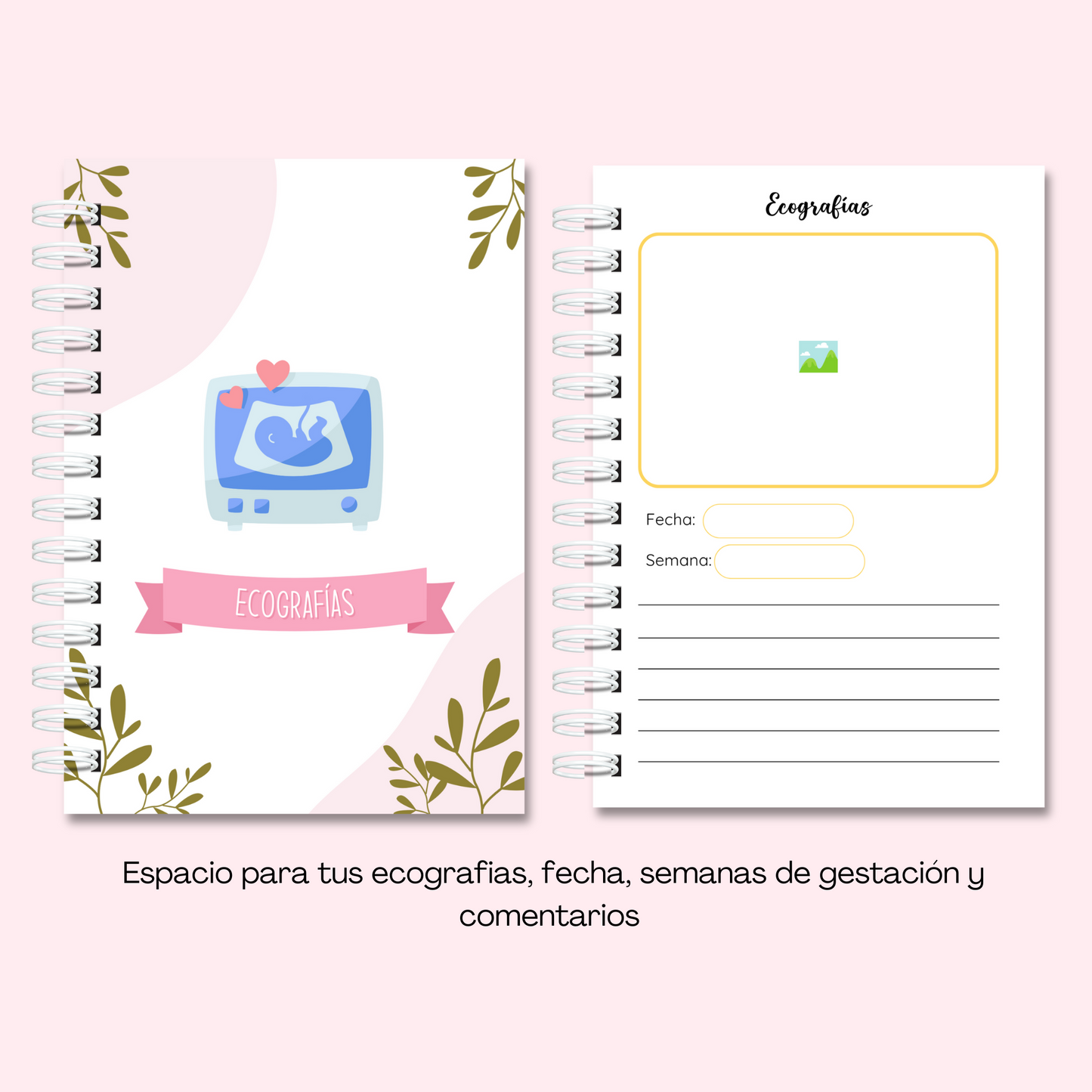 Planner/ diario de embarazo